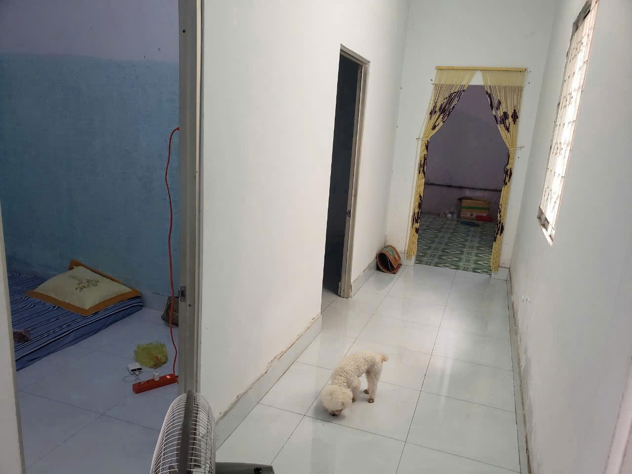 Cần Bán Nhà Trịnh Thị Dối Hóc Môn 188m² – Gần Chợ, Hẻm Sạch Đẹp – Giá Tốt 5.4 Tỷ